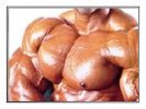 Anabolic Steroids Body Builder