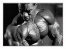 Steroid User