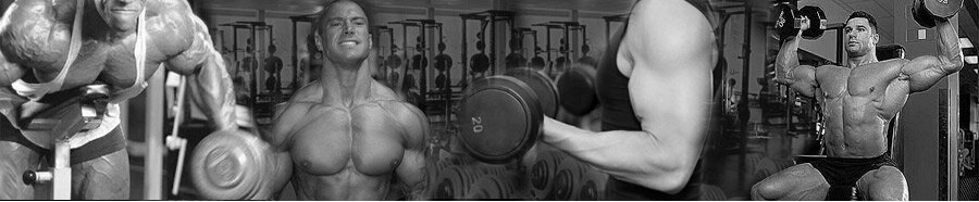 Steroid Sources Header